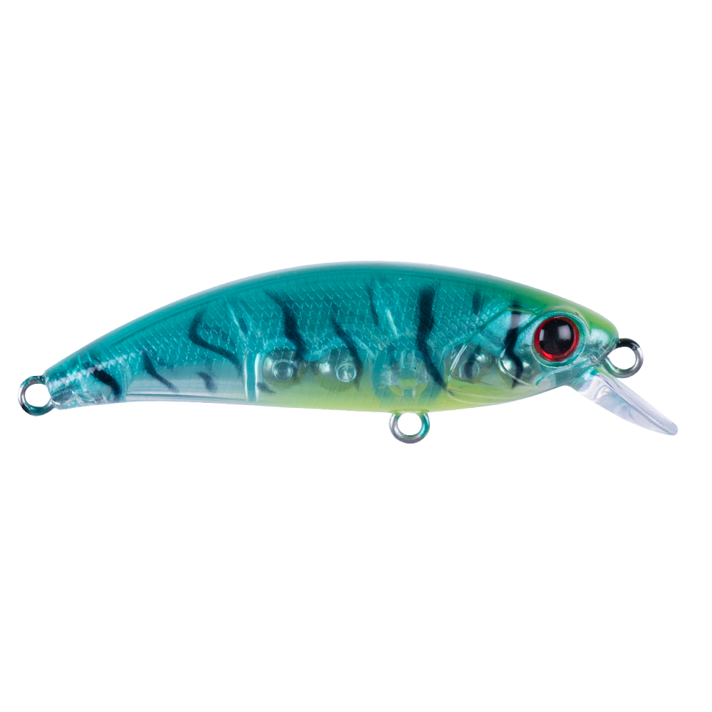 Zıpır SPK23 - Tropical Shrimp