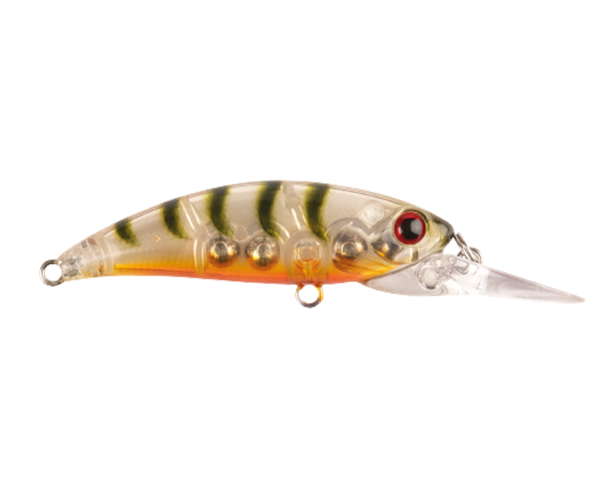 Zıpır U-13 Ghost Shrimp