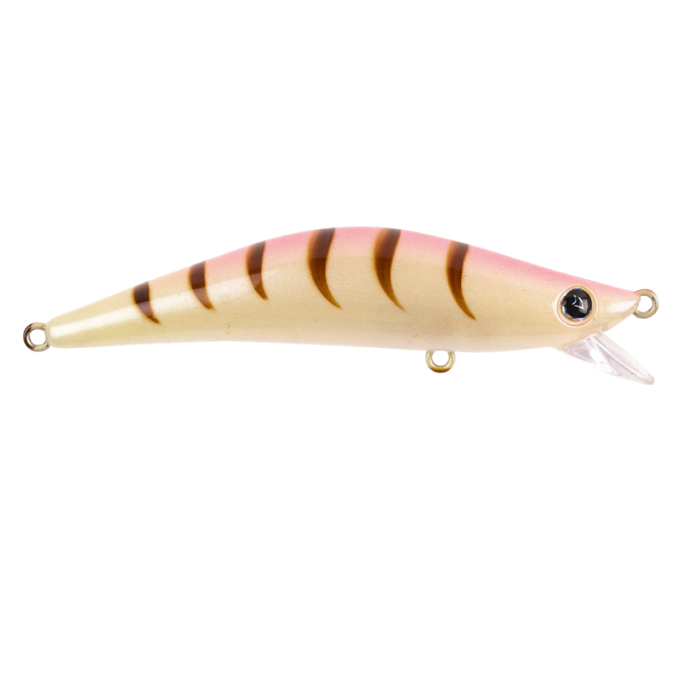 LM204 - Special Shrimp