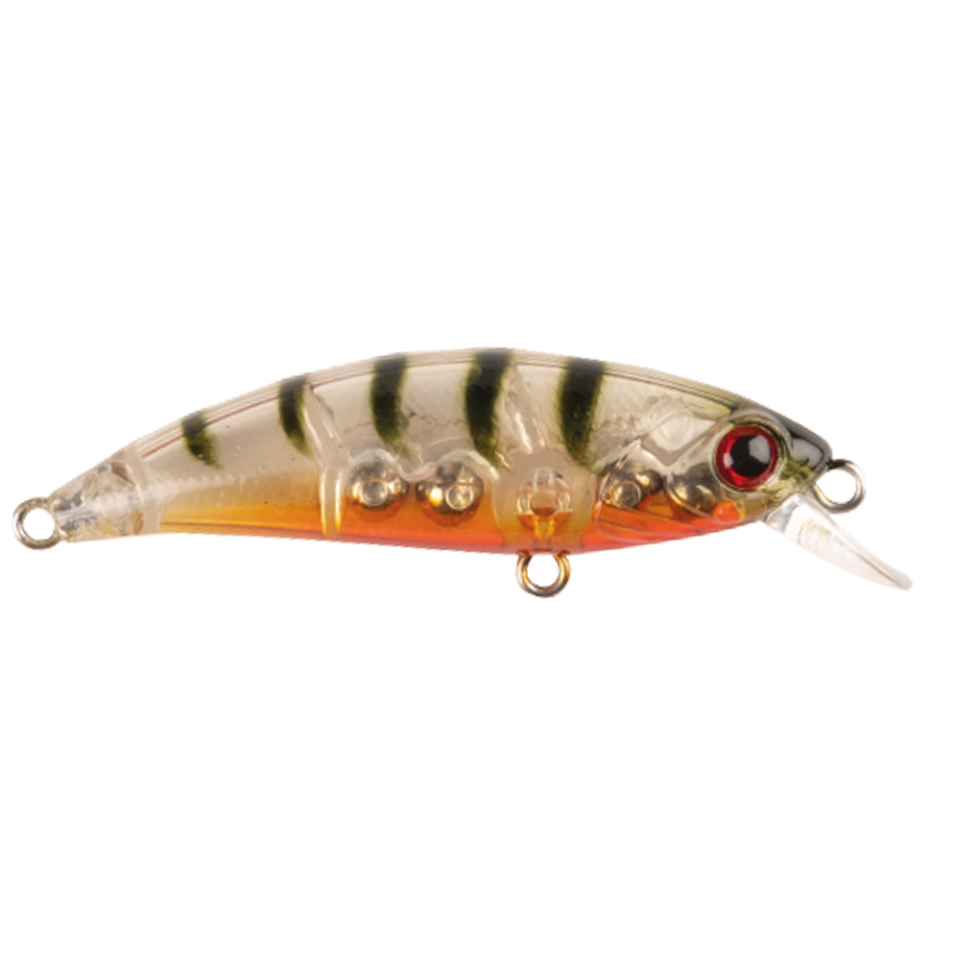 Zıpır K-13 Ghost Shrimp
