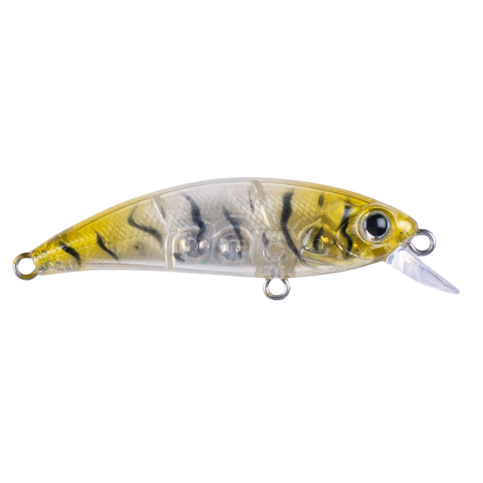 Zıpır SPK-22 Glass Shrimp