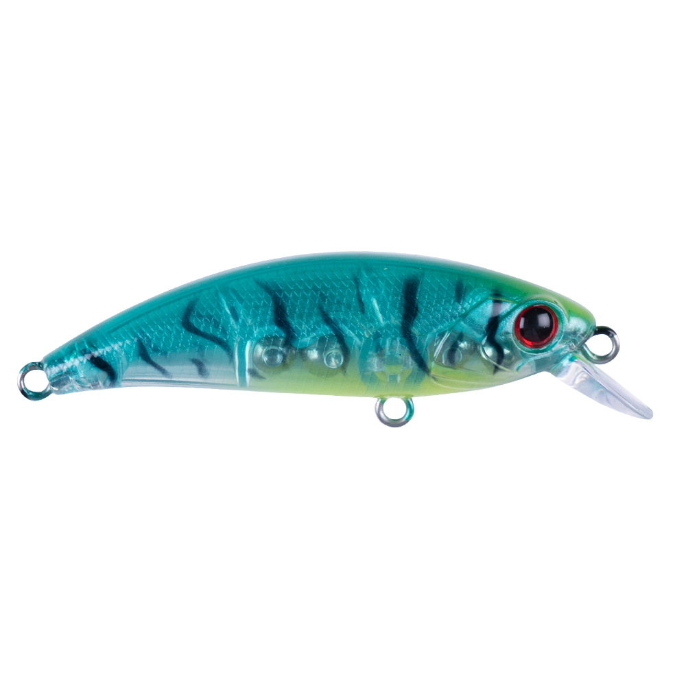 Zıpır SPK23 - Tropical Shrimp