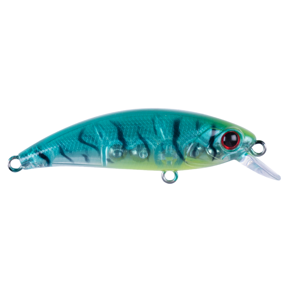 Zıpır SPK23 - Tropical Shrimp