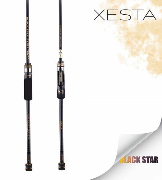 XESTA BLACKSTAR EXTRA TUNED S84MH-T KAMIŞ 2.55M 1.5-18G 2P