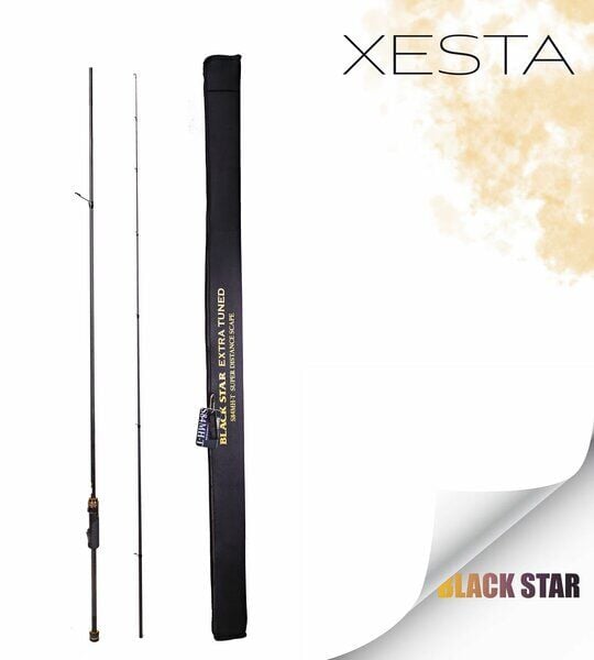 XESTA BLACKSTAR EXTRA TUNED S84MH-T KAMIŞ 2.55M 1.5-18G 2P