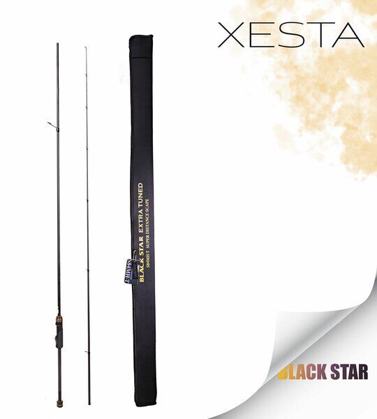 XESTA BLACKSTAR EXTRA TUNED S84MH-T KAMIŞ 2.55M 1.5-18G 2P